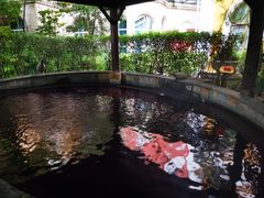 -杭州第一世界大酒店·云曼温泉