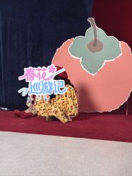 点击看大图 -马克叔叔的照相馆(东门店)