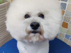 -宠颐生猫科·内科皮肤科(西平世纪城店)