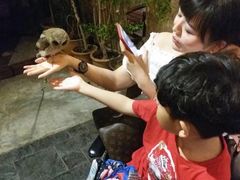 -清迈夜间动物园