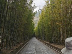 -蝴蝶泉公园