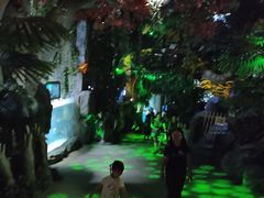 -泉城欧乐堡海洋极地世界