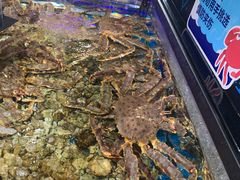 -盒马鲜生(岭南新世界店)