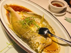-羲和雅苑•北京烤鸭(陆家嘴中心店)