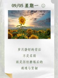 -Oasis Beauty水磨坊科技美肤中心