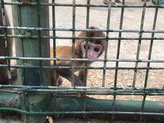 -南京金牛湖风景区