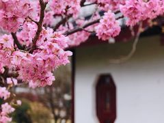 -堤角公园