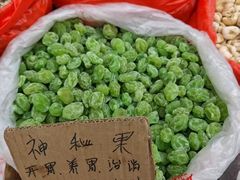 -长寿村
