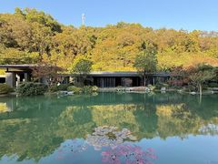 -云溪植物园
