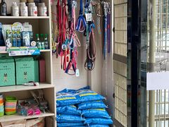 -乐琪宠物医院·犬猫专科·骨外科·急重症