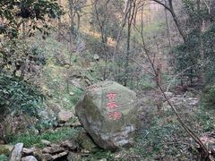 -波尔登森林公园