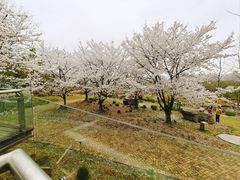 -武汉园博园(武汉自然博物馆)