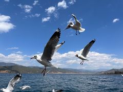 -丽江泸沽湖景区