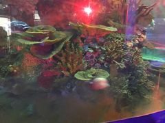 -青岛嘉年华主题乐园