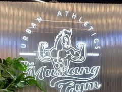 -TMG潮流健身(奥体莲荷里店)