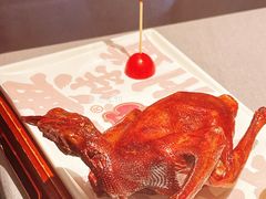 -大鸽饭(体育西路店)