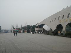 -自贡恐龙博物馆