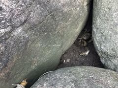 -吴淞炮台湾湿地森林公园烧烤区