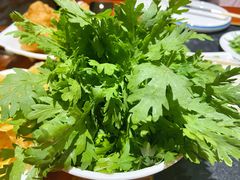 -葛记红焖羊肉(人民路店)