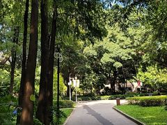 -晓港公园