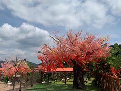 -东莞观音山旅游风景区