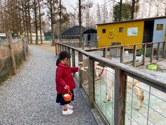 -前小桔亲子创意农场·草莓采摘·露营烧烤
