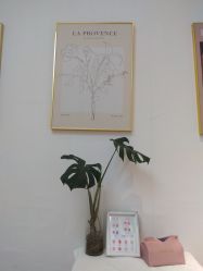 -UN·桃喜日系美睫美甲