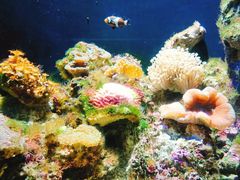 -成都浩海立方海洋公园