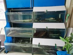 水产区-滇香肴·云南菜蒸汽石锅鱼(云南北路店)