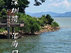 -深圳湾公园(南山区)