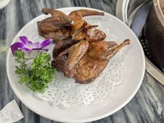 -鸽鸟轩(石岐店)