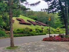 -深圳仙湖植物园-停车场