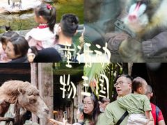 -长鹿旅游休博园
