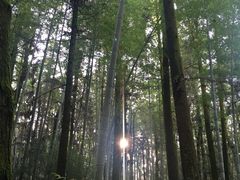 -象山森林公园