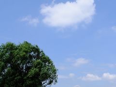 -桐乡凤凰湖