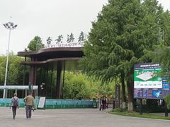 -黄海国家森林公园