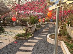 -桃源山庄·水蜜桃采摘·柴火鸡·烧烤团建(龙泉山店)