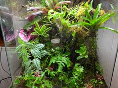 -Rabbit Cafe私房西餐甜点咖啡(栖霞路店)