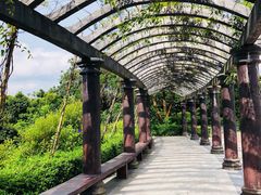 -大屏嶂森林公园