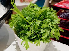 蓬蒿菜-纯味斑鱼府(中海环宇荟店)