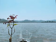 -柳莺湖上·湖景餐厅·江南菜(西湖店)