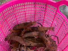 -芭提雅Amporn Seafood自助餐厅