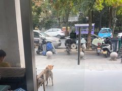 -四月宠物医院·猫专科·心脏专科·内科(转塘店)