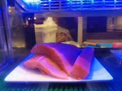 -舟山希尔顿酒店·開自助餐厅