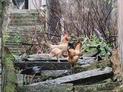 -东钱湖旅游度假区