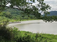 -风云岭森林公园