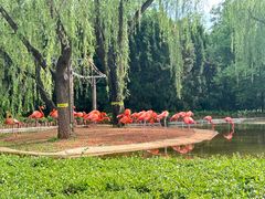 -石家庄市动物园