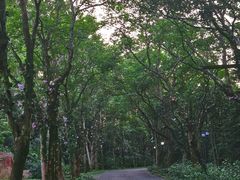 -海南文笔峰盘古文化旅游区