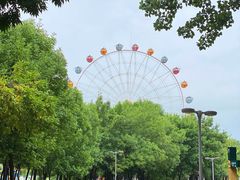 -西安浐灞国家湿地公园
