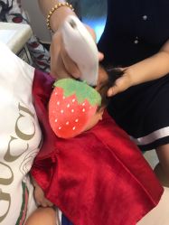 -慧婴轩婴儿理胎发胎毛笔胎毛画手足印(通州店)